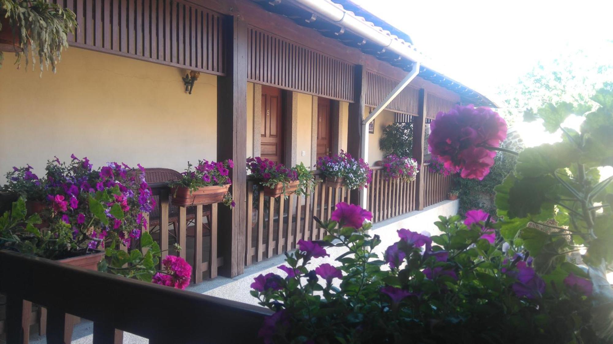Agroturismo Quinta Dom Jose Braga Luaran gambar